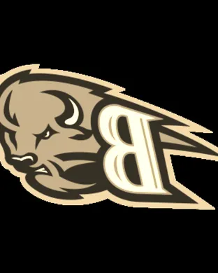 Bucknell Bison Football Pittsburgh