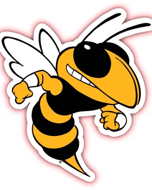 Georgia Tech Yellow Jackets Football Pittsburgh