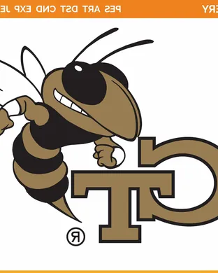 Georgia Tech Yellow Jackets Pittsburgh