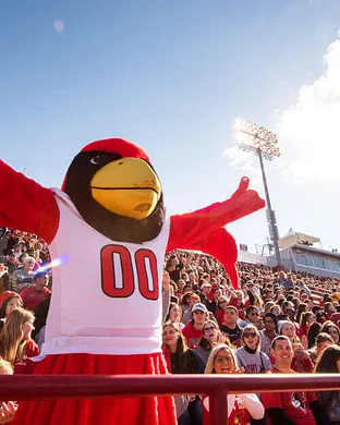 Illinois State Redbirds Youngstown