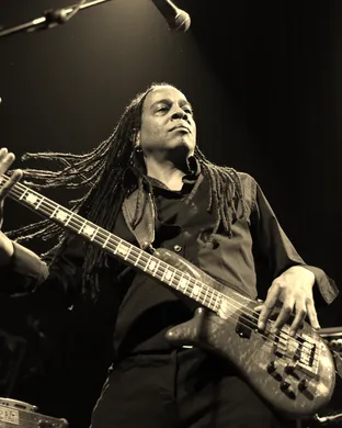 Living Colour Homestead