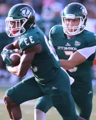 Sacramento State Hornets Football Sacramento