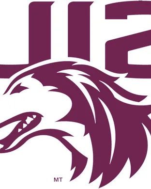 Southern Illinois Salukis Carbondale