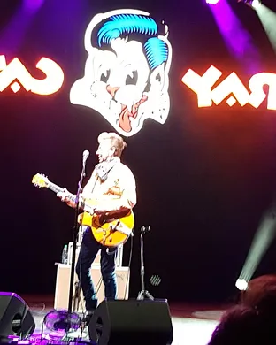 Stray Cats Greensburg