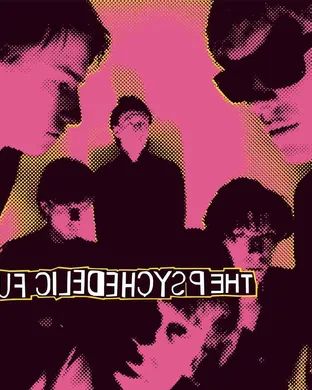 The Psychedelic Furs Homestead