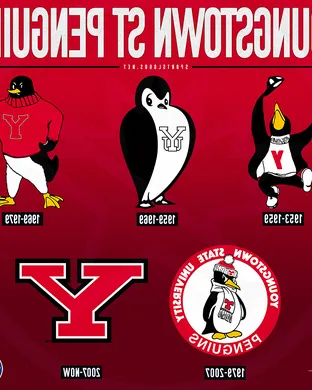 Youngstown State Penguins Youngstown