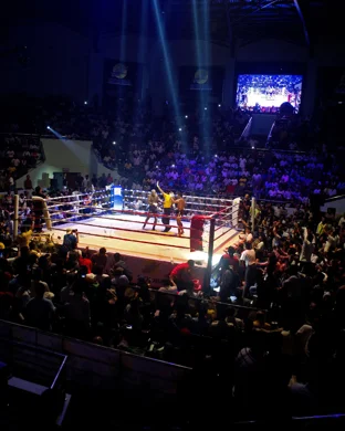 Integrity Pro Boxing Washington